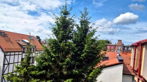 Apartament b1453962101