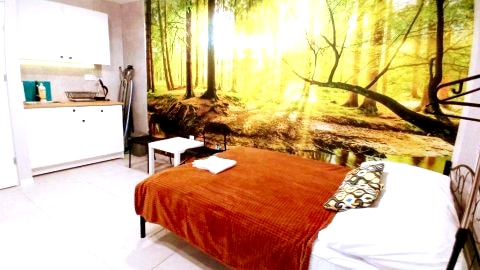 Apartament 2