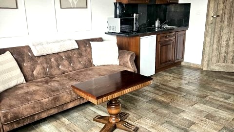Apartament z jedną sypialnią
