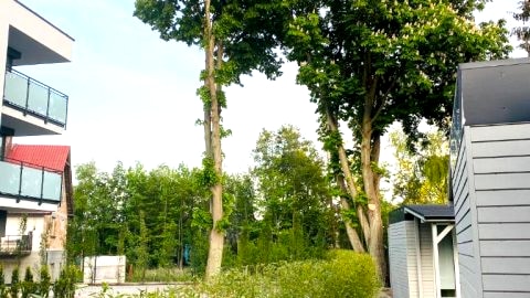 Domek b645778602