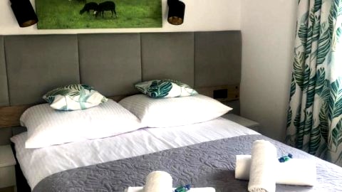 Pokój Dwuosobowy z 1 lub 2 łóżkami b1130144602