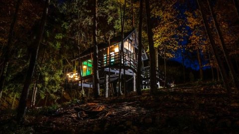 Na Skraju Lasu Domek na Drzewie & Glamping