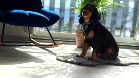 Apartamenty Bujaki Ustroń