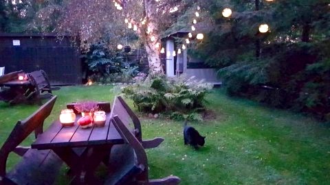 Apartament b260449804