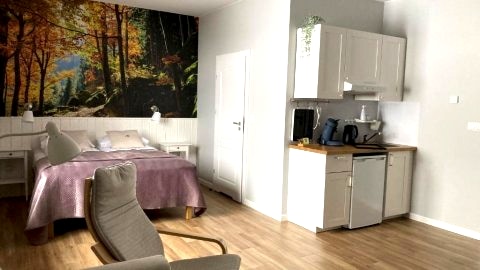 Apartamenty Black Lion