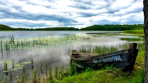 Apartament Mikołajki SWAN