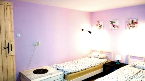 Studio b267261103