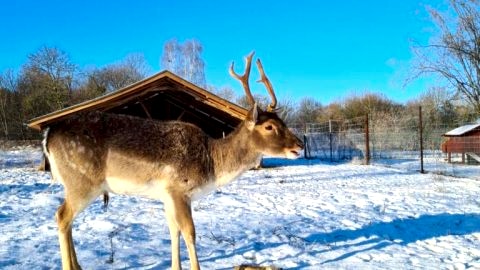 Agroturystyka Nad Stawem