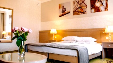 Pokój Dwuosobowy z 1 lub 2 łóżkami b31957902