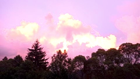 Domek nad Potokiem
