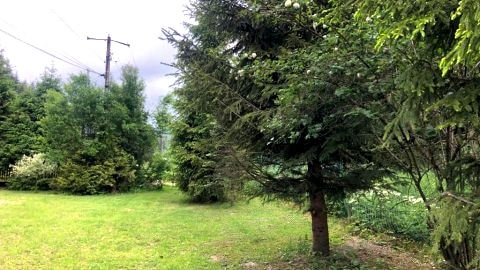 Dom na Wynajem - Bartoszówka