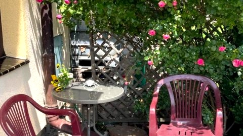 Apartament b311370206