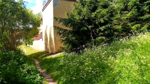 Domki Letniskowe Szczycionek