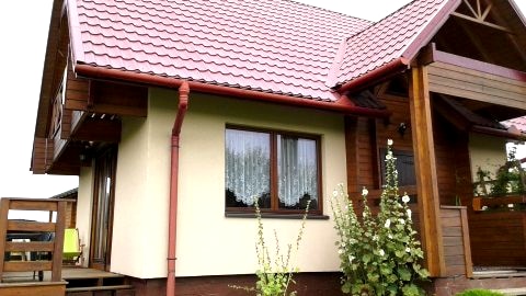 Korsarz duży