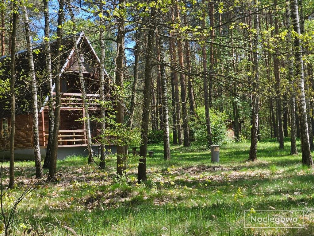 Leśna Osada Tęcza Jabłonowiec