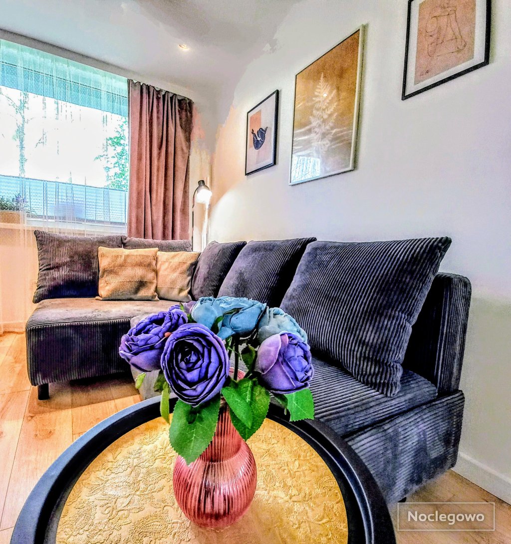 Pokój dzienny - Apartament Relaks w centrum Koszalina 