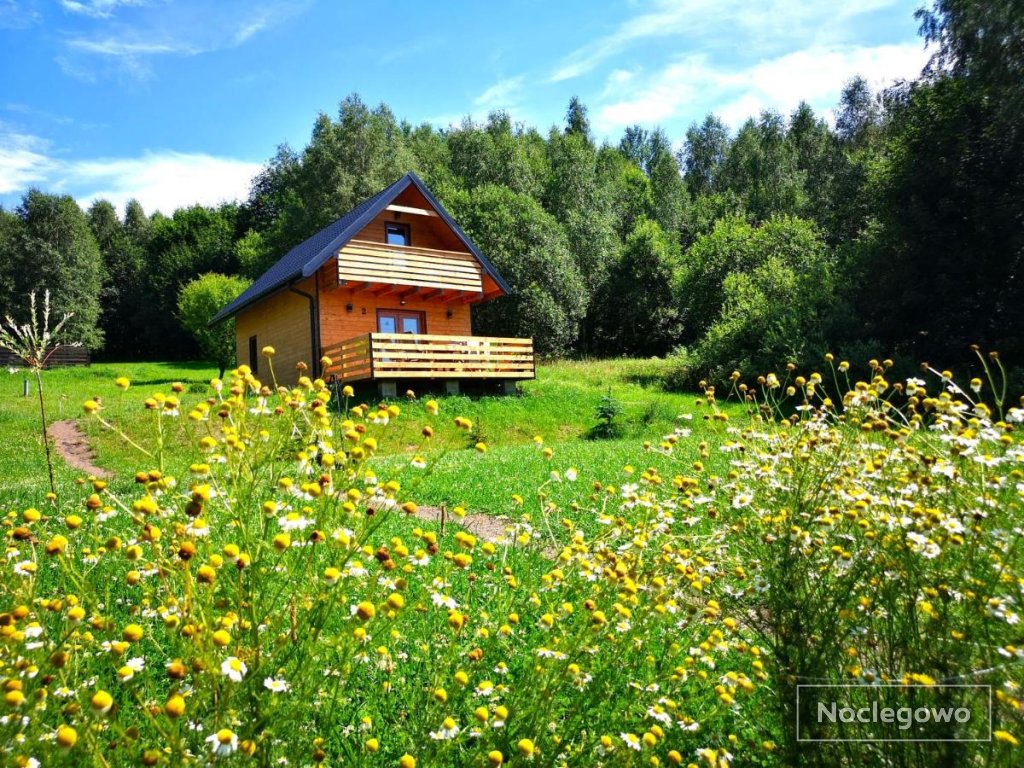 Domki w Bartnicy - Góry Sowie