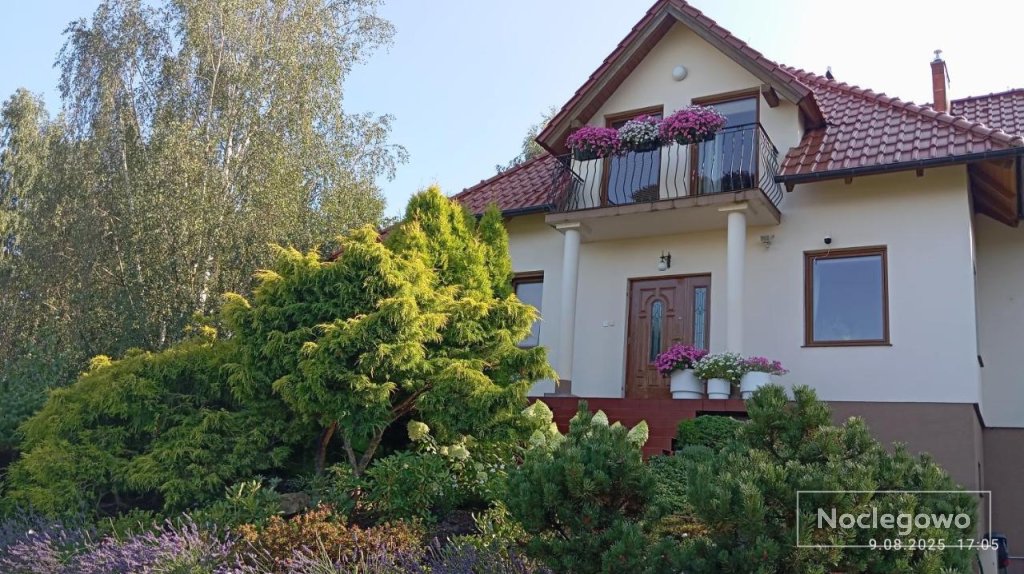 Przytulne Studio Borówkowy Zagajnik