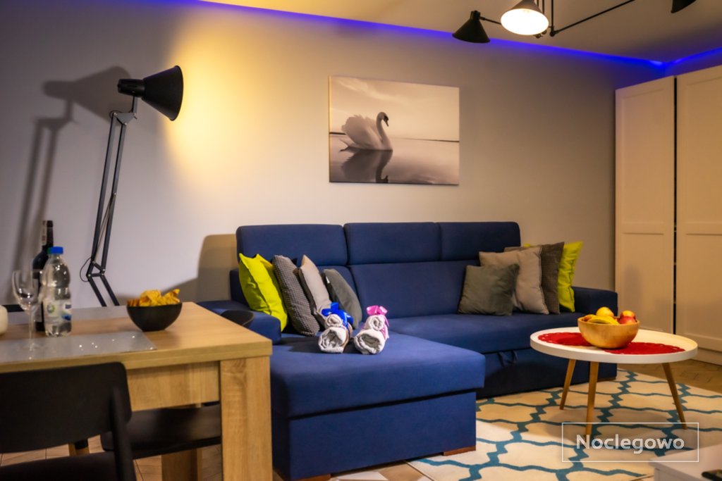 Salon - Apartament Augustów SWAN