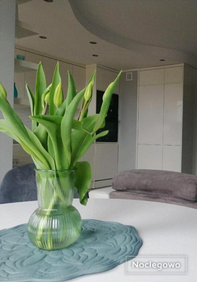 Apartament 35