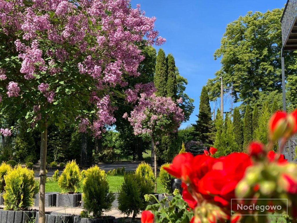 Apartamenty Arkadia przy Amfiteatrze