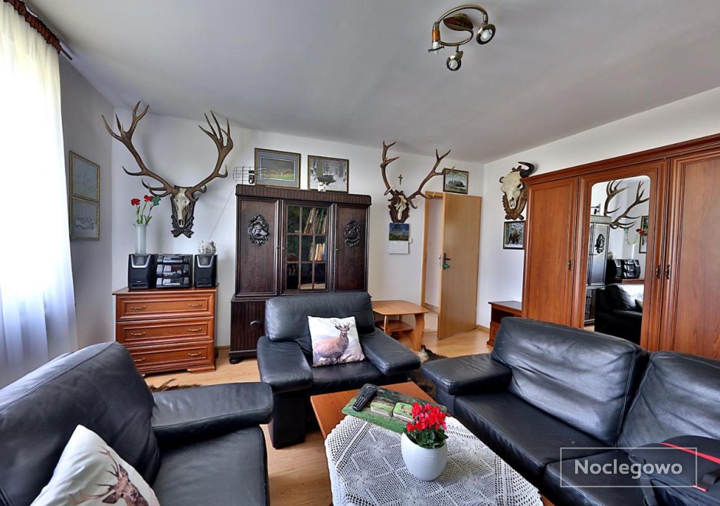 Apartamenty w Puszczy Boreckiej