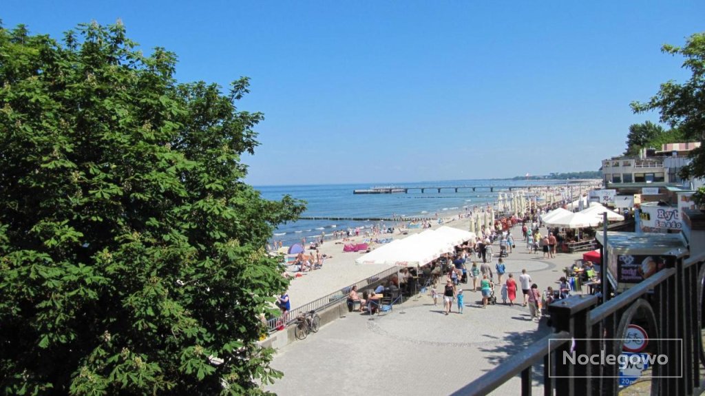 Apartament Żeglarski