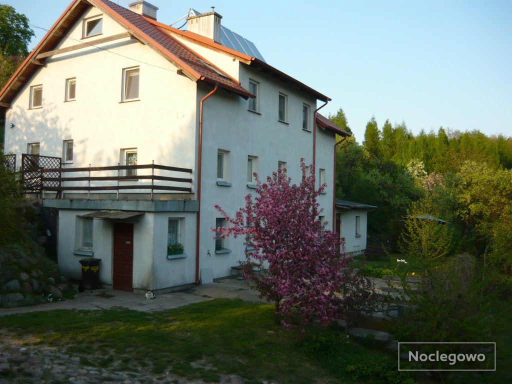 Urokliwe położenie gospodarstwa 8 km koło Elbląga