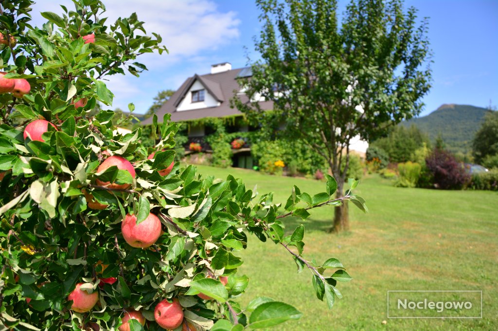 Budynek z pokojam - Werchowyna - pokoje i apartamenty z aneksami kuchennymi