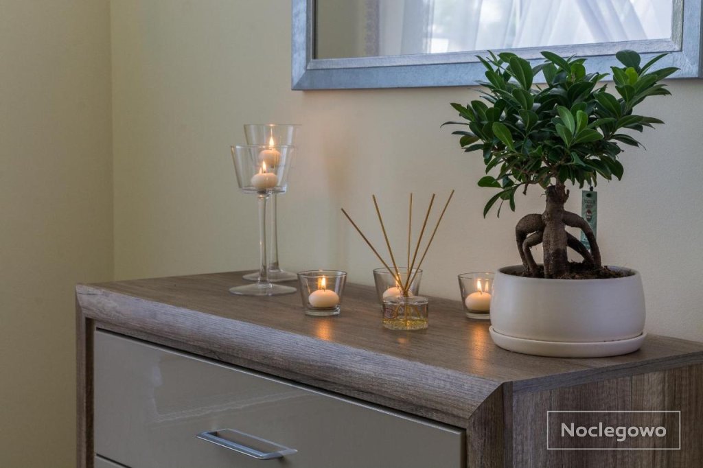 Apartament Zdrojowa 45