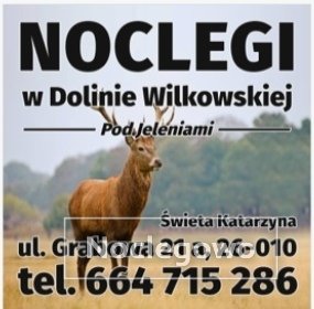 Święta Katarzyna ,, Pod Jeleniami "prawdziwymi 