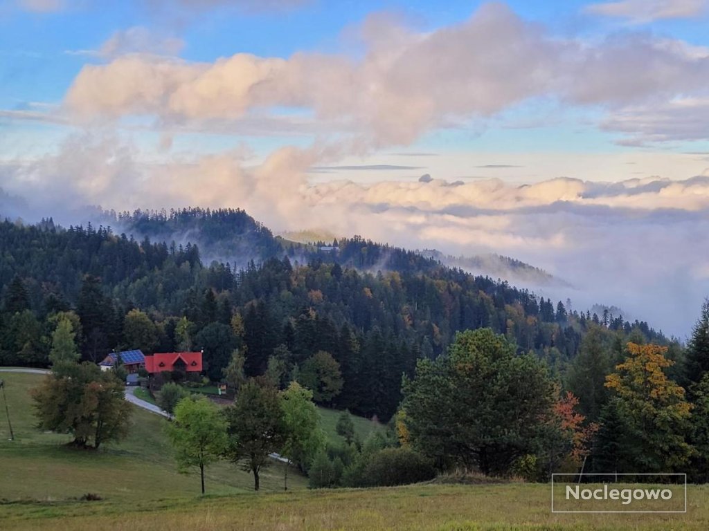 Domek na Obidzy