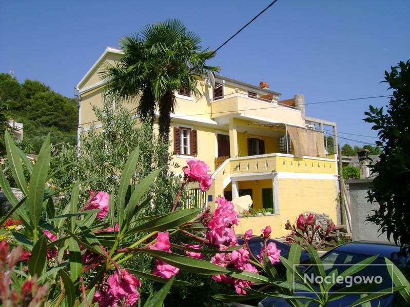 Melita Apartments House - Melita Apartments on Zadar's area island