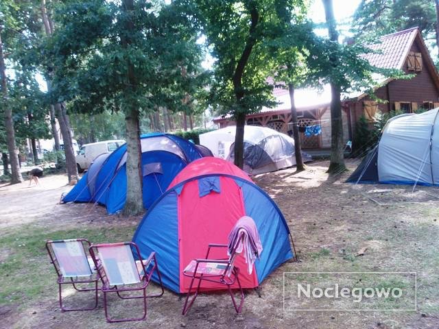 Pole namiotowe w Pobierowie