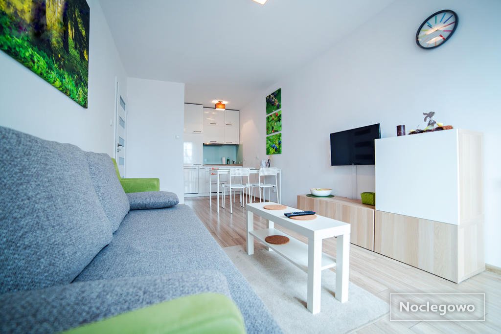 salon z aneksem kuchennym - Apartament Mięta- balkon, cisza,szum strumyka, internet.