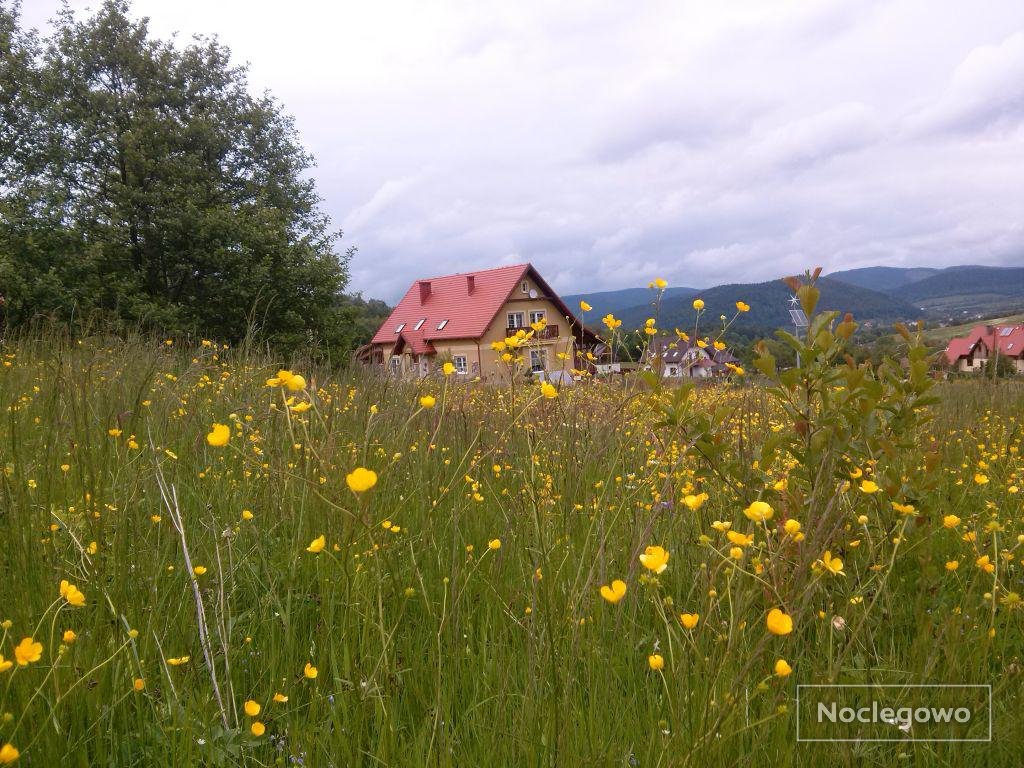 widok na domek z okalających łąk - Domek Górski Strumień | Pokoje w doskonałej lokalizacji