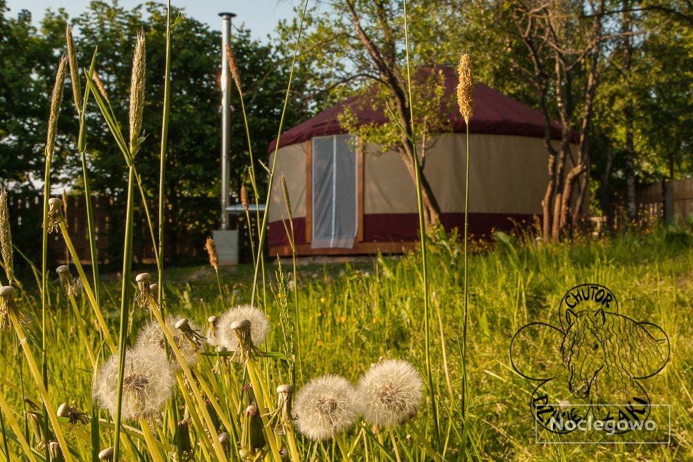 Komfortowa jurta, kameralne miejsce wypoczynku blisko natury - Chutor Dzikie Łąki
