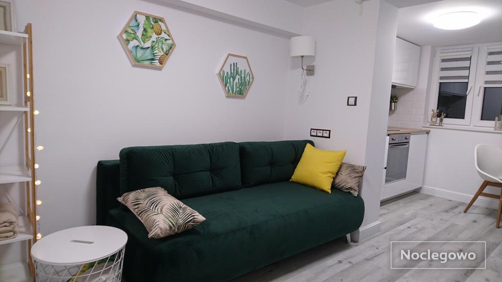 Rozkładana sofa w salonie  - Studio Gaia - dla 4 osób
