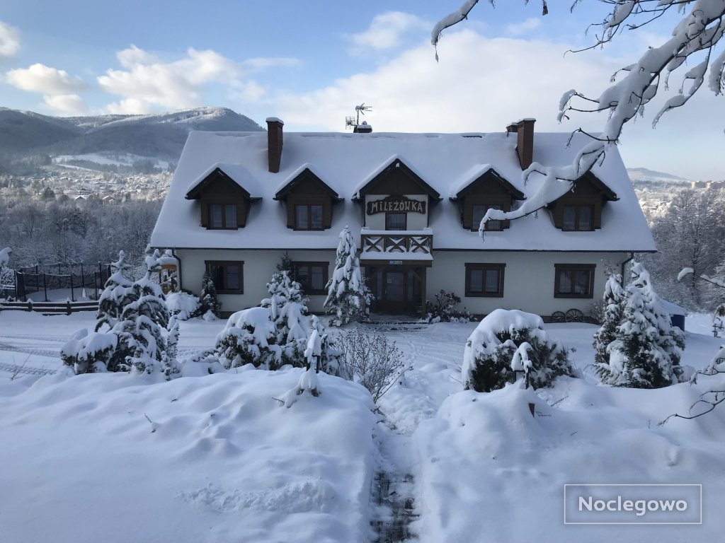 Mileżowka Noclegi&SPA zima - Mileżówka - widok na góry