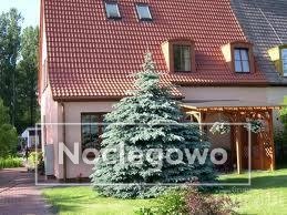 Dom nad morzem