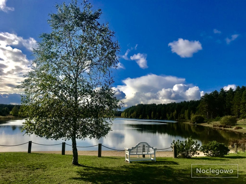 Widok na jezioro - Duży Domek nad jeziorem z własną plażą i sprzętem wodnym, rowery, grzyby, kucyki