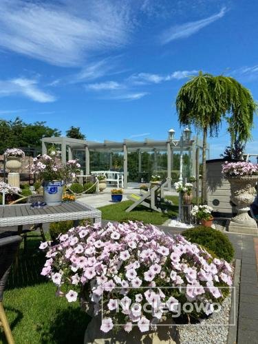 Domki Basen, Małpi Gaj -Wszystko dla dzieci