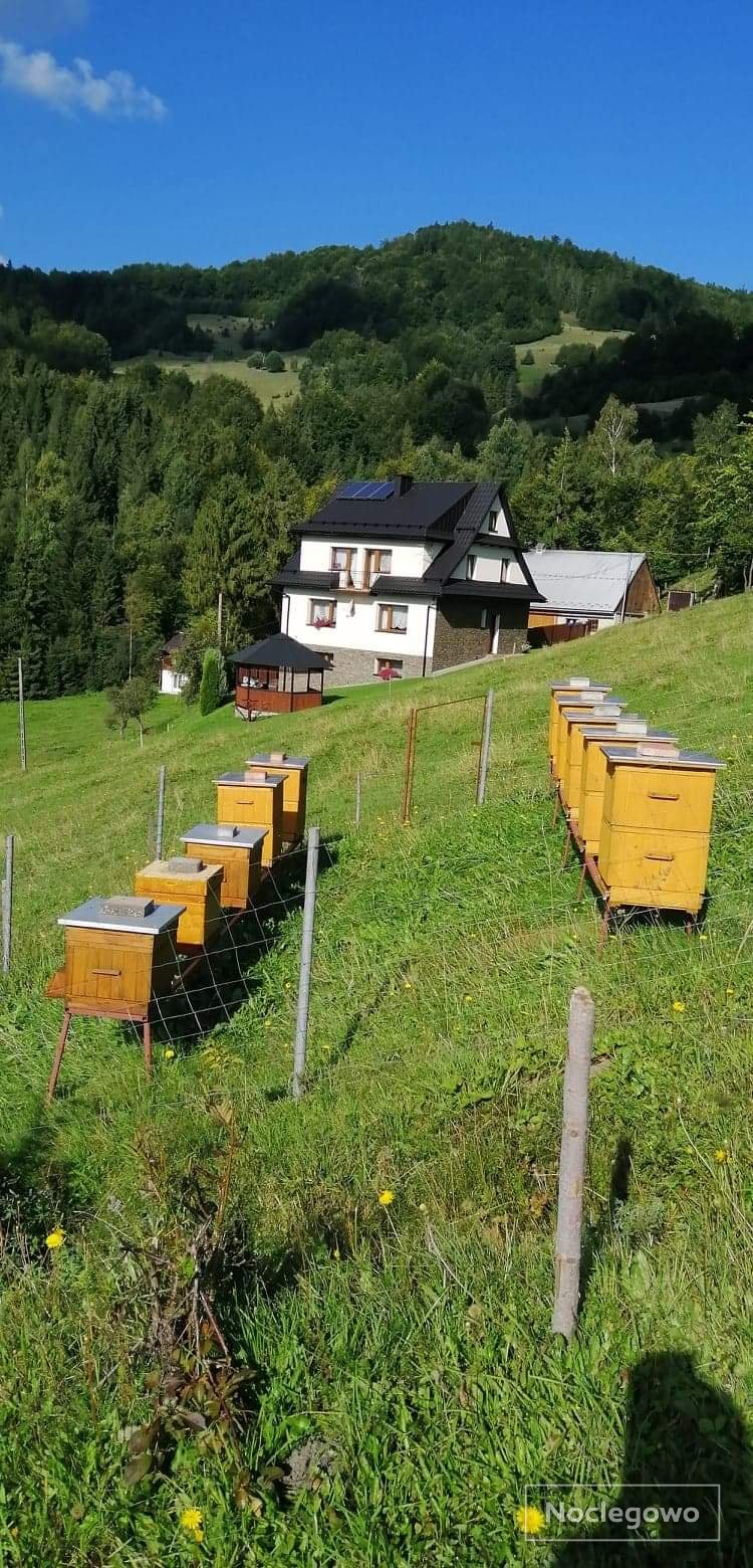 Dom na uboczu - Pokoje w górach w cichej i spokojnej okolicy