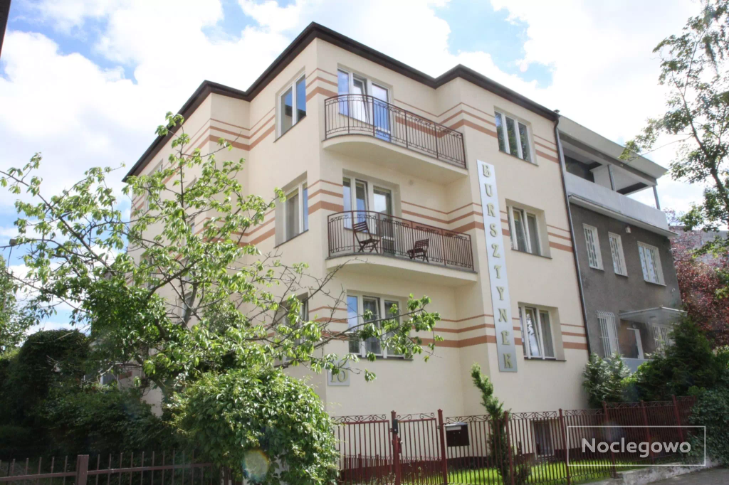 Bursztynek Serce Mocy 