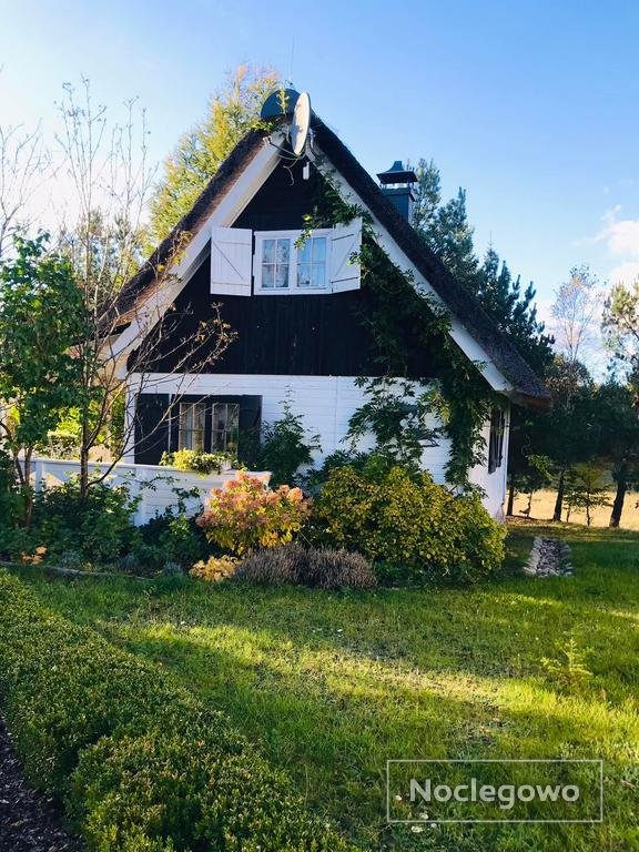 Mały Domek nad jeziorem z własną plażą i sprzętem wodnym, rowery, grzyby, kucyki