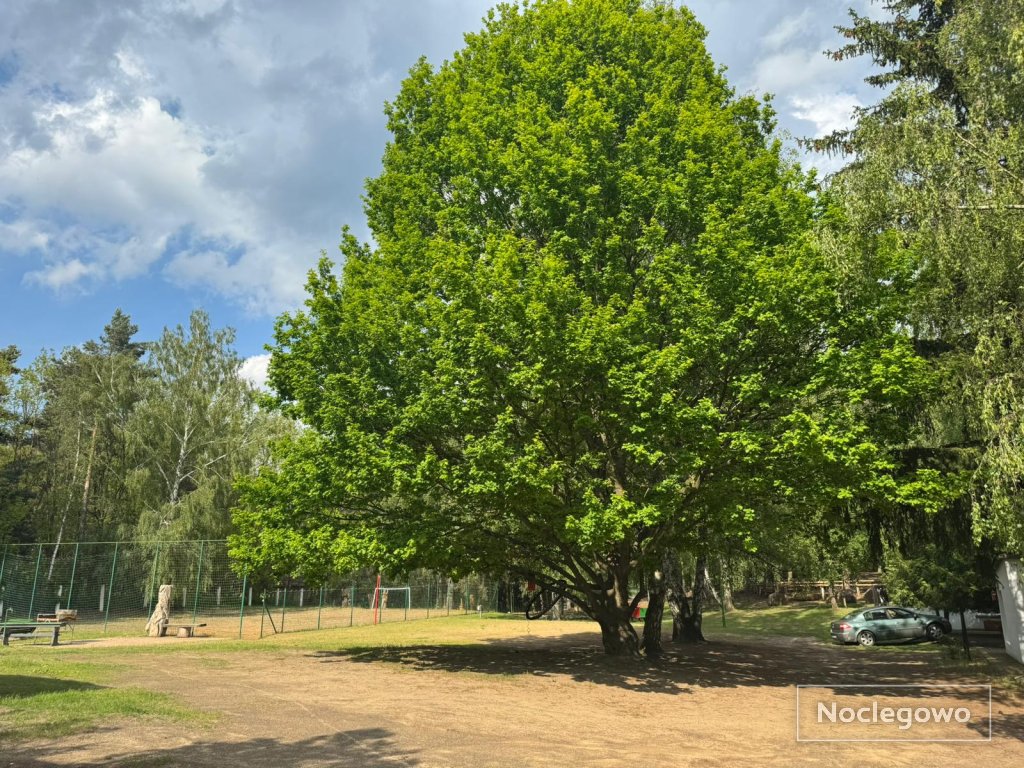 Ośrodek wypoczynkowy w Oćwiece