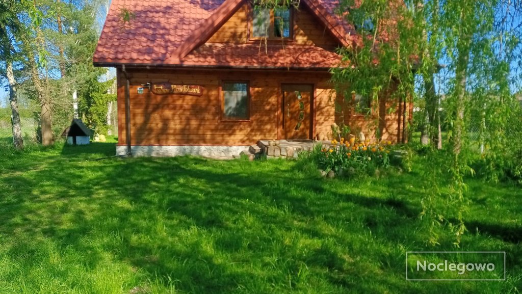 Biebrza safari
