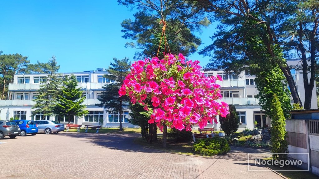 COMFORTABLE ROOMS CLOSE TO THE BEACH
