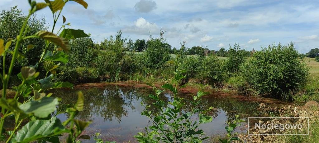 Agroturystyka Zielony Domek - Apartament na wyłączność, slow life, staw, oswojone zwierzęta gospodarskie, posiłki z własnych eko produktów