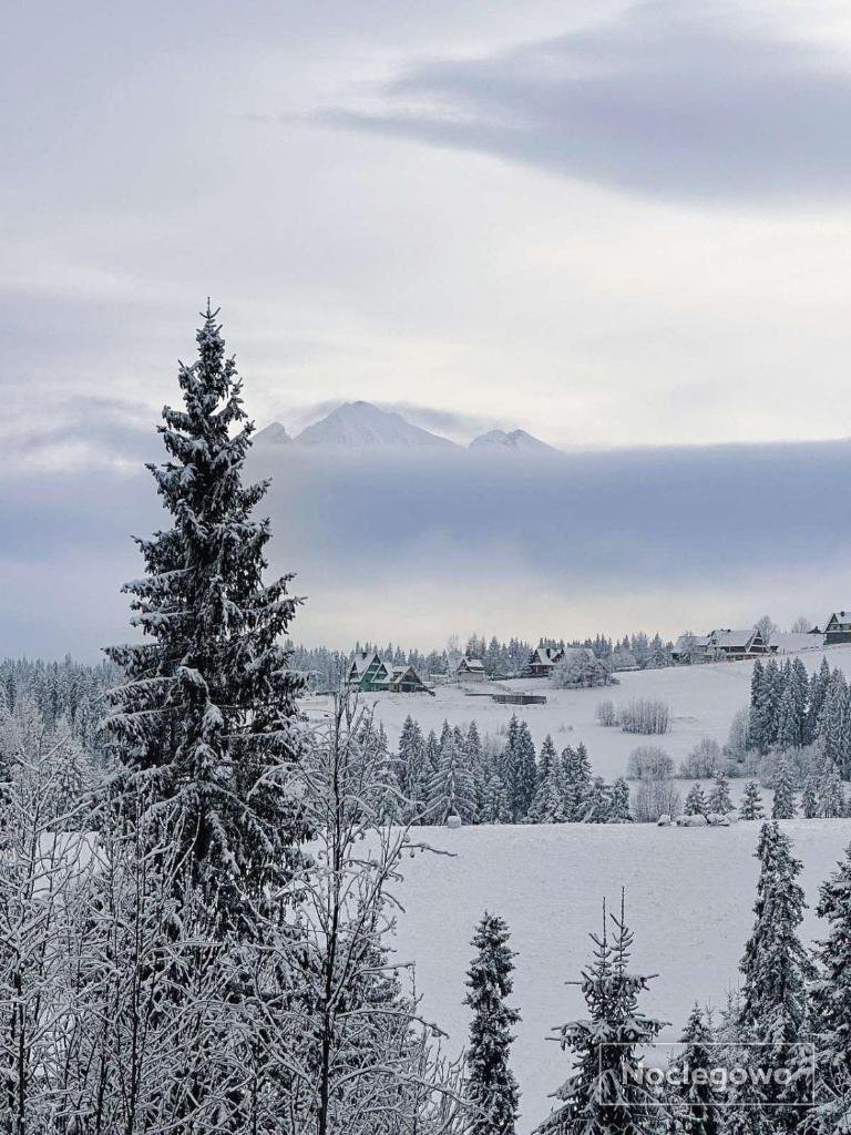 Wierchowa Polana Apartments